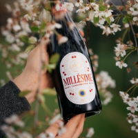 Boon Millesime 2023: Oude Schaarbeekse Kriek 6.0% 6x750ml