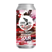 Lough Gill CAN Wound Runner Pastry Sour 8.2% 24x440ml