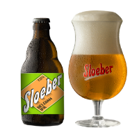 Brouwerij Roman Sloeber IPA 7.5% 12x330ml